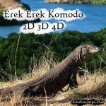 Erek Erek Komodo 2D 3D 4D Lengkap Dengan Angka Mistik