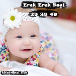 Erek Erek Bayi Lengkap Disertai Angka Mistik 2D 3D 4D