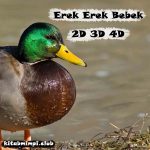 Erek Erek Bebek Lengkap Disertai Angka Mistik 2D 3D 4D